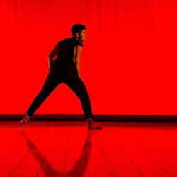 Le danseur rouge / LARCHER Olivier