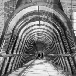 Le Japan bridge / Bruno SUIGNARD