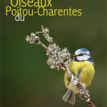 Fiche_presentation_Oiseaux-du-Poitou-Charentes