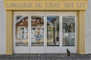 Raymond Fédieu / Le chat qui lit