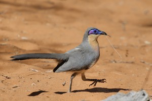 Concours Nature 2017