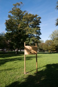 La photo nature dans le Parc de la Mairie