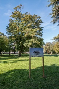 La photo nature dans le Parc de la Mairie