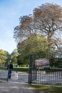 La photo nature dans le Parc de la Mairie