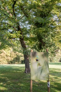 La photo nature dans le Parc de la Mairie