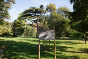 La photo nature dans le Parc de la Mairie