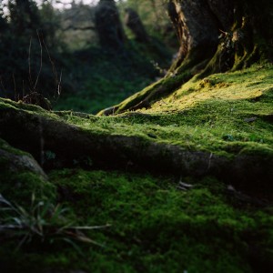 Exposition de photographies "Prémices" de Emanuela Meloni