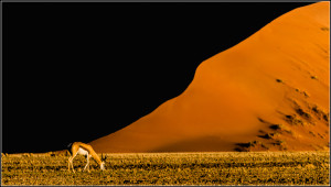 Au pied de la dune