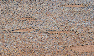 Cercles de fées en Namibie