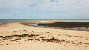 MICHEL BOUCHERET BASSE MER