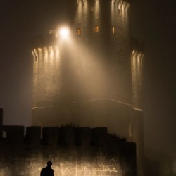 Le visiteur du château / HULIN Agnès