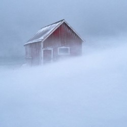 Tempête / LECONTE Dominique