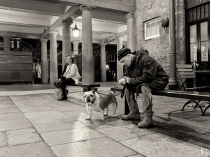 Coven Garden /  Olivier Larcher