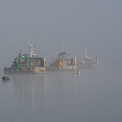 Brume sur la baie / HÉMAR Daniel