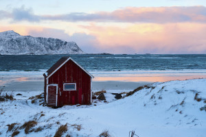 Cabane de pêcheur / Dominique Leconte