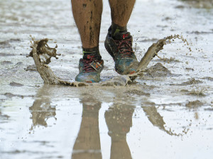 Les pieds dans le plat / Olivier Larcher