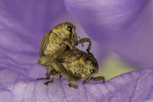 Un moment de tendresse