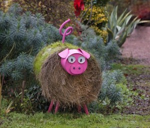 07-2023-12-02 01-09-53 - DSCF7703