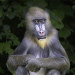 Brigitte Ruffin French Digital Tour 2025