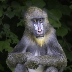 Brigitte Ruffin French Digital Tour 2025