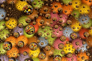 Pluie de boutons / Bruno Suignard