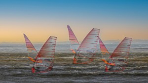 Dans le vent / Daniel Hémar