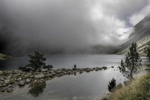 Brume / Brigitte Ruffin